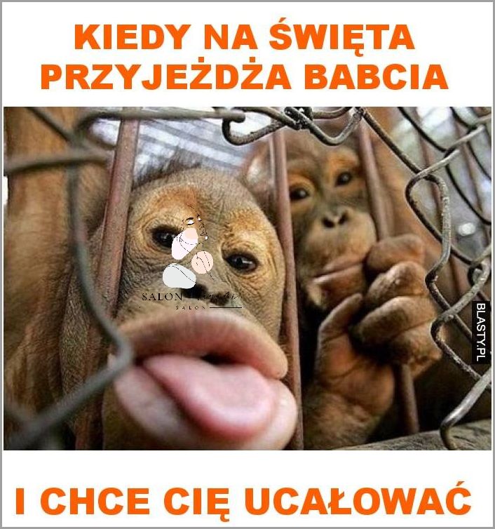 Krótkie Życzenia Komunijne Dla Dziewczynki: Co Powinny Zawierać?