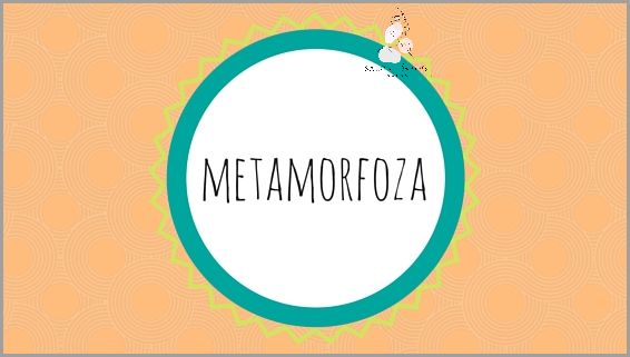 Nauka Strzyżenia Włosów Krok Po Kroku - Nie Możesz Przegapić!