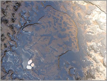 Niesamowity Przewodnik Po Masowaniu Twarzy!