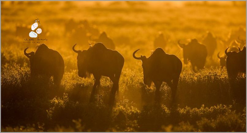 Odkryj, Co Forum Mówi o Tabletkach na Dobry Sen!