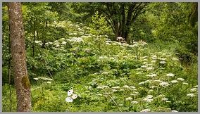 Ostrzegamy! Oparzenie Słoneczne 2 Stopnia może być niebezpieczne!