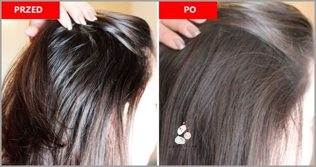 Szybki i Skuteczny Sposób na Wypadające Włosy: Domowa Odżywka! Szybki i Skuteczny Sposób na Wypadające Włosy: Domowa Odżywka!