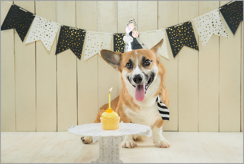 Wyjątkowy Prezent Na 18 Urodziny - Powinien Go Dostać Każdy! Wyjątkowy Prezent Na 18 Urodziny - Powinien Go Dostać Każdy!