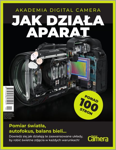 Forum Citrafleet - Dowiedz Się Jak Szybko Działa!