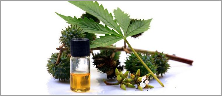 Jak Olejować Włosy Olejkiem Rycynowym?