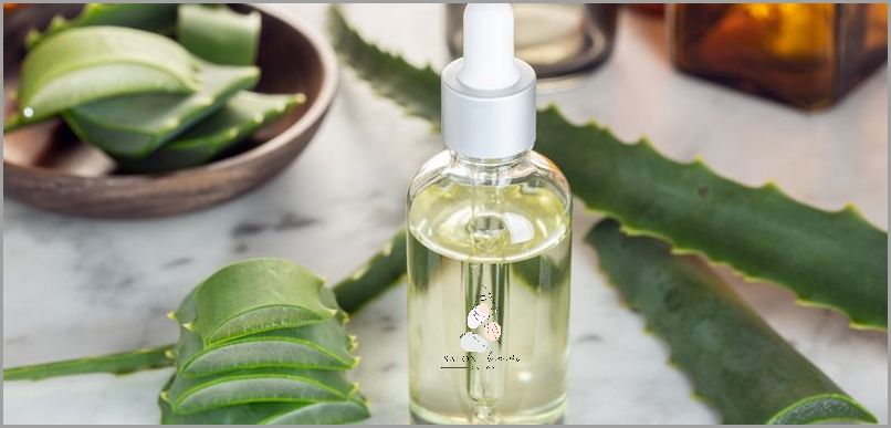 Jak Stosować Aloes Na Twarz? Przekonaj Się!