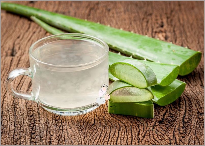 Jak Stosować Aloes Na Twarz? Przekonaj Się!