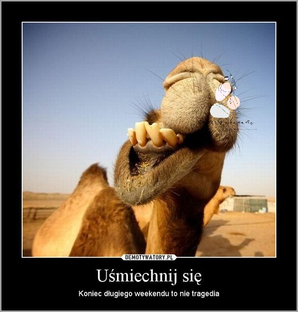 Uderzyłeś się i masz Siniak na Nosie?!