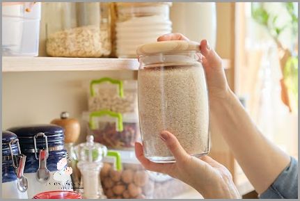 Zaskakujące Odpowiedzi: Skąd Się Biorą Moli? Zaskakujące Odpowiedzi: Skąd Się Biorą Moli?