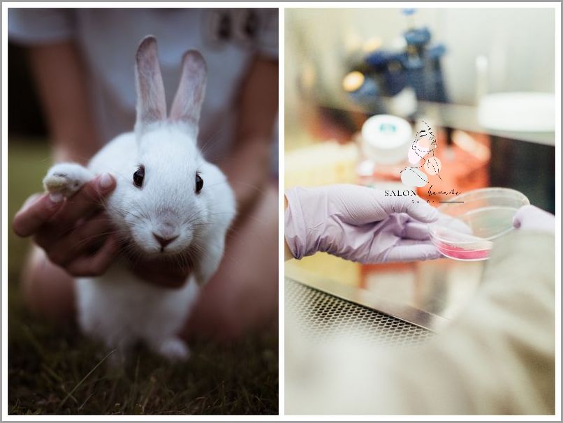 Testowanie Kosmetyków Na Zwierzętach: Przerażające Fakty!