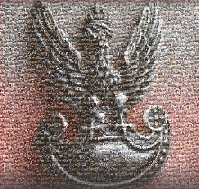 Co jest 10 marca? Poznaj historię i tradycje Dnia Pamięci Żołnierzy Wyklętych