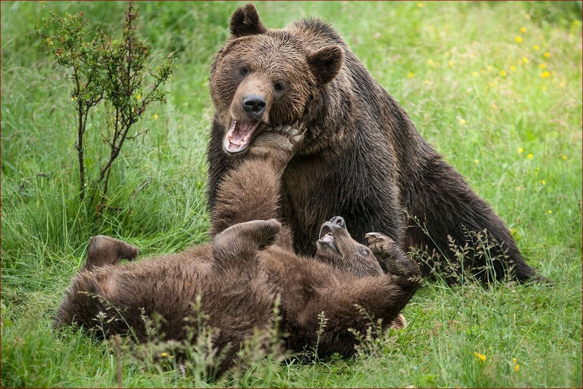 Coś w wodzie - odkrycia, które zaparły dech w piersiach. Niesamowite artefakty z dna oceanu