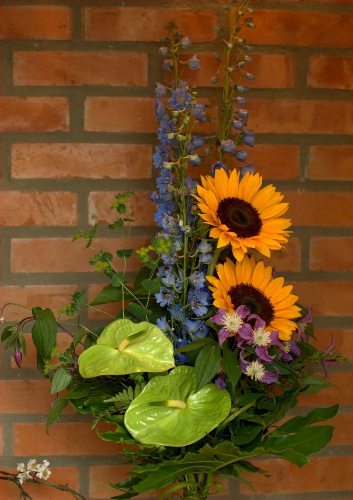 Czy żonkile są trujące? Poznaj przerażającą prawdę o tych pięknych kwiatach!