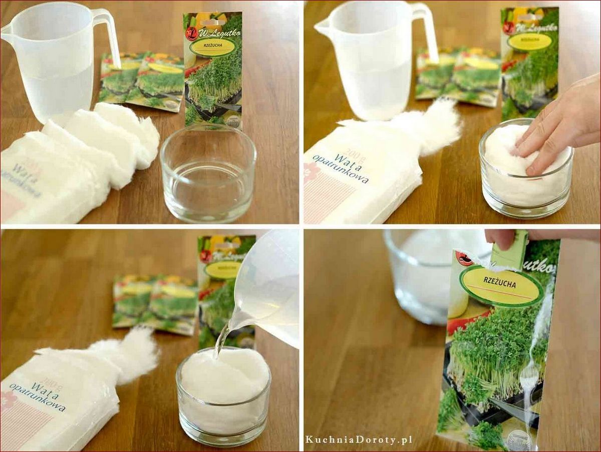 Jak posiać rzeżuchę w domu? Prosty sposób na naturalne, pełne witamin kiełki!