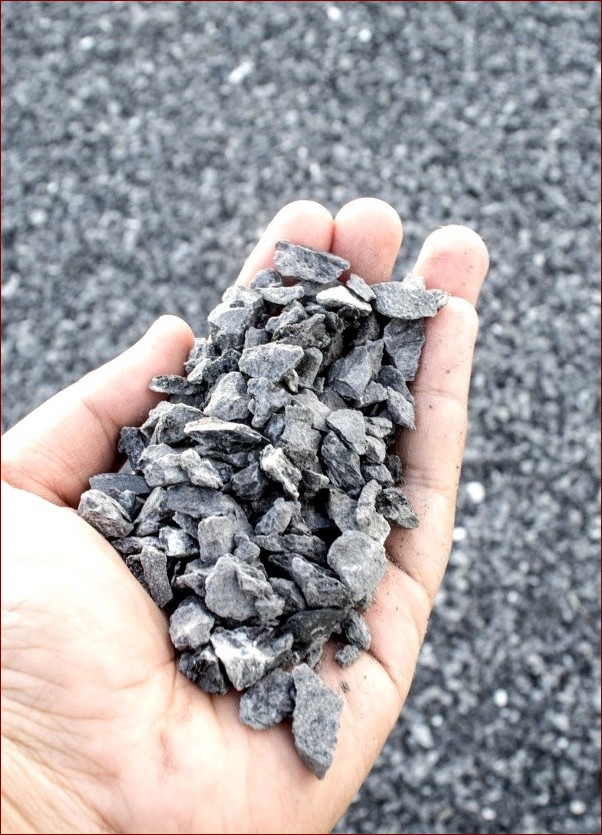 Jak pozbyć się ślimaków? Naturalne i skuteczne metody na ślimakowatą inwazję