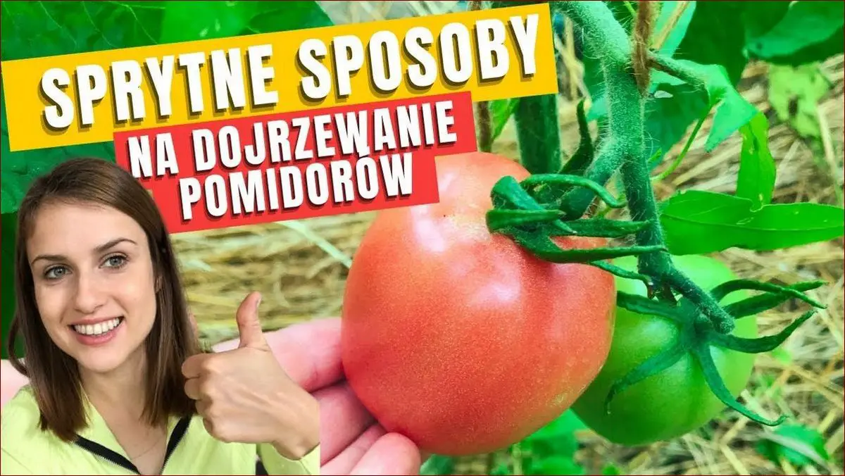 Jak przyspieszyć dojrzewanie banana? 8 skutecznych sposobów na pyszne owoce