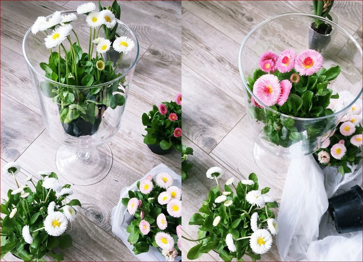 Dekoracje wiosenne w szkle: Magia przyrody w kryształowej oprawie