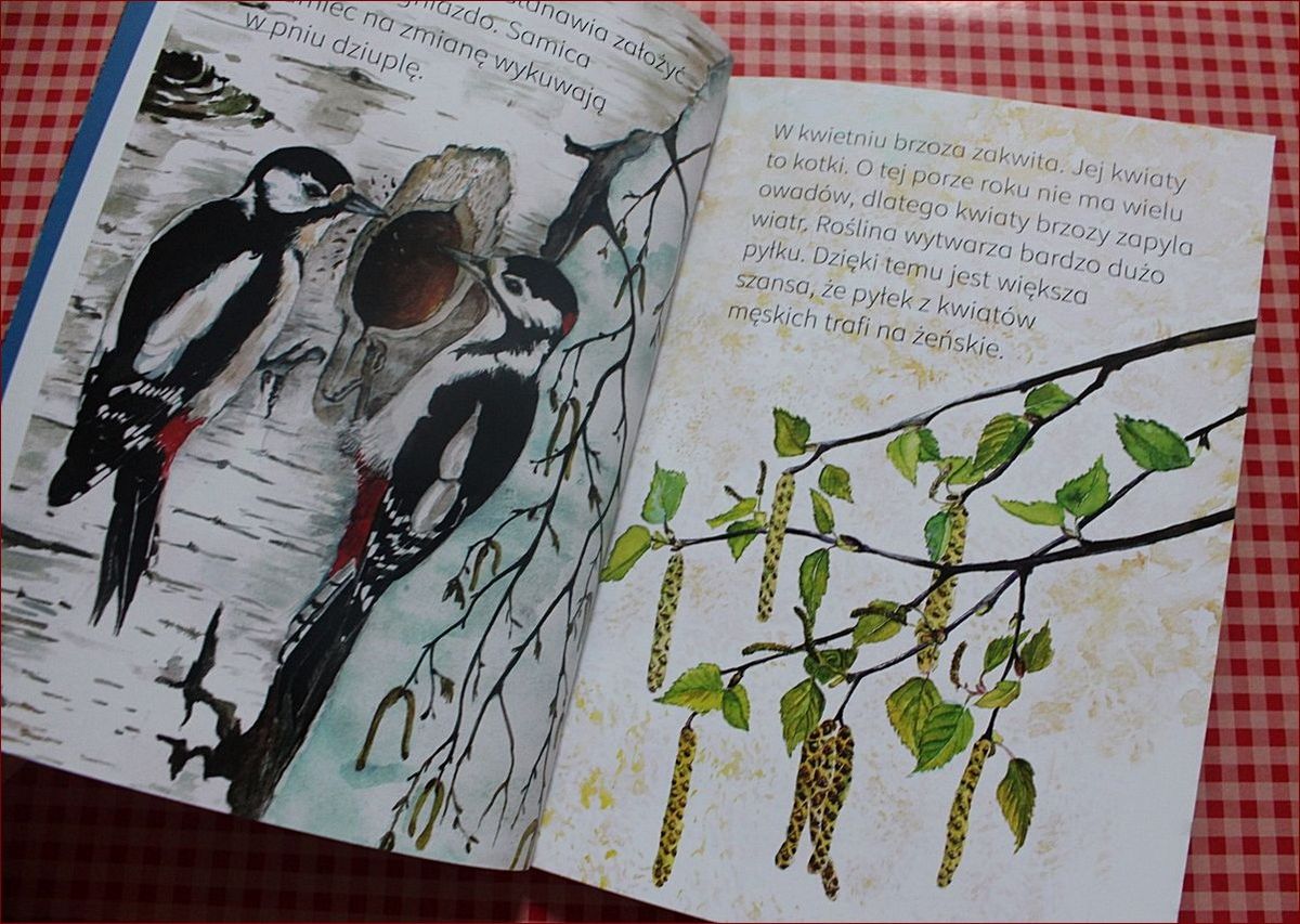 Drzewa z dużymi liśćmi - majestatyczne ozdoby Twojego ogrodu