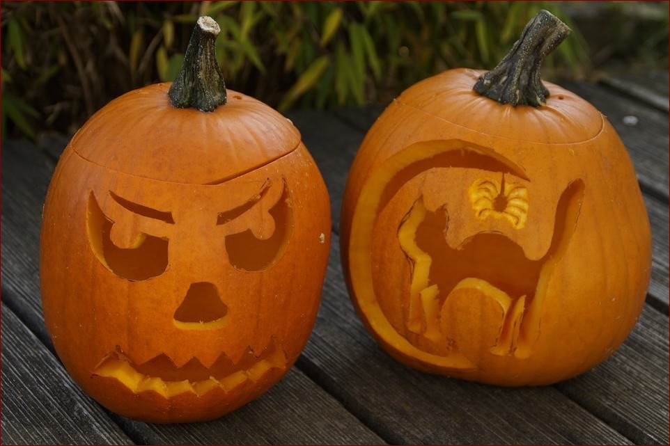 Dynia wzory do wycięcia - zaskakujące i przerażające pomysły na Halloween