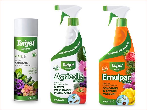 Ekologiczny oprysk na stonkę ziemniaczaną - naturalna ochrona przed groźnym szkodnikiem () Ekologiczny oprysk na stonkę ziemniaczaną - naturalna ochrona przed groźnym szkodnikiem