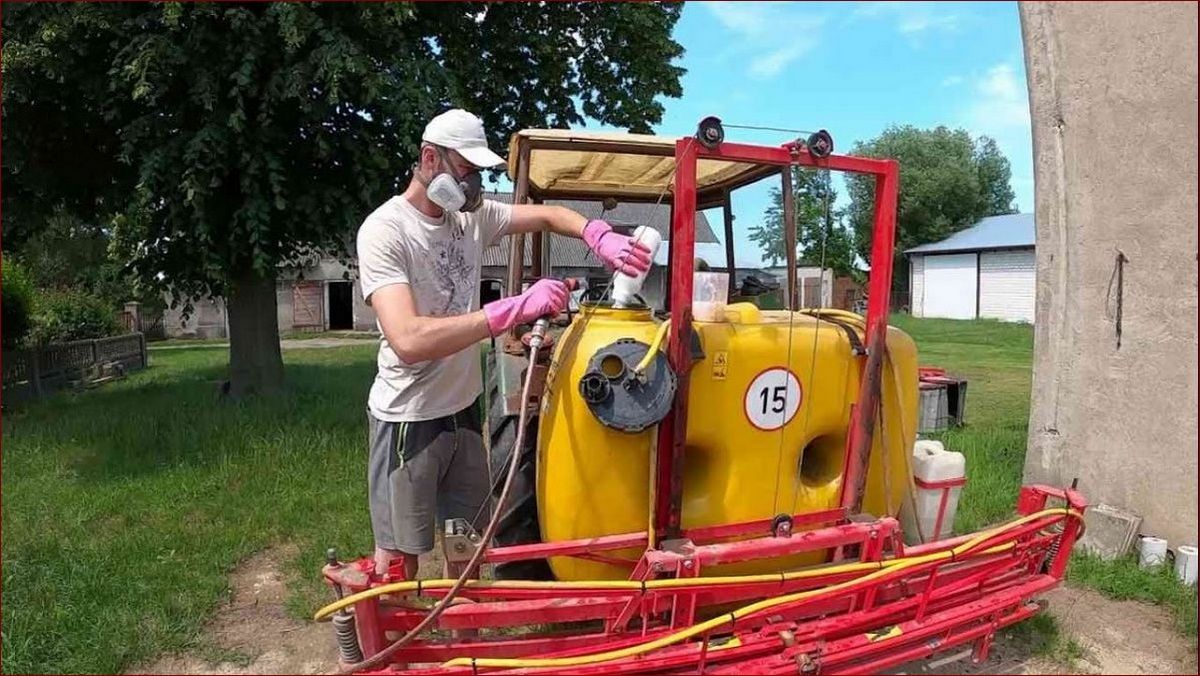 Ekologiczny oprysk na stonkę ziemniaczaną - naturalna ochrona przed groźnym szkodnikiem () Ekologiczny oprysk na stonkę ziemniaczaną - naturalna ochrona przed groźnym szkodnikiem