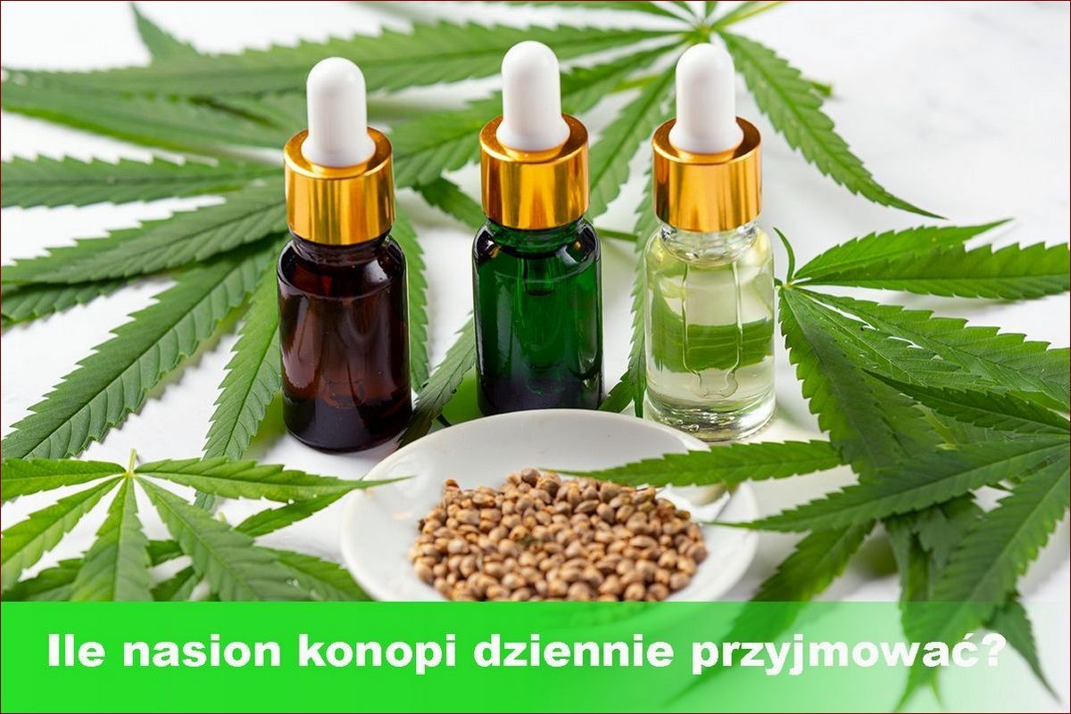 Ile kwitną hiacynty? Odkryj sekret przedłużonej wiosennej symfonii kolorów!