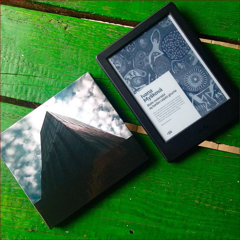 Czy białe koty są głuche? Poznaj zaskakujące fakty o tym zjawisku!