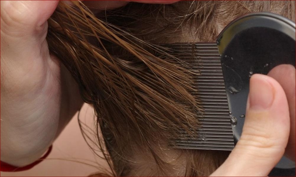 Jak wygląda fretka - poznaj sekrety uroczego futrzaka o dzikiej naturze