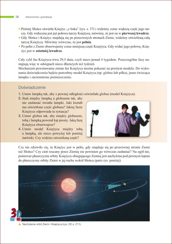 Jak wygląda kos? Poznaj szczegóły upierzenia, kształt i zachowanie tych czarujących ptaków () Jak wygląda kos? Poznaj szczegóły upierzenia, kształt i zachowanie tych czarujących ptaków