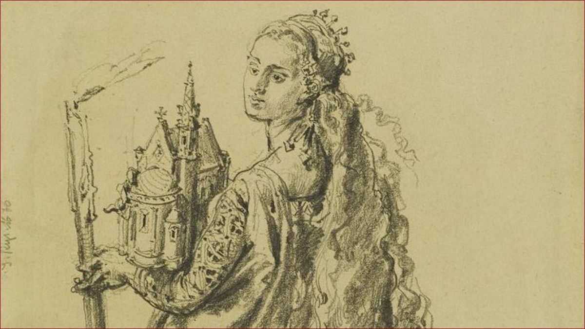 Jak wygląda królowa os? Odkryj niezwykły wygląd tej niezastąpionej władczyni gniazda