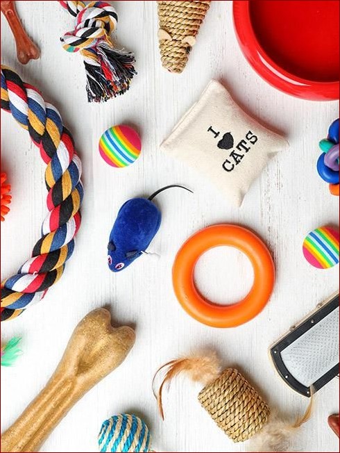 Jak zrobić zabawki dla kota? Kreatywne i niedrogie pomysły na domowe zabawki