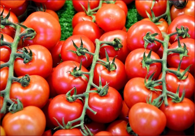 Jaka ziemia do pomidorów? Poznaj sekret pysznych i soczystych owoców!