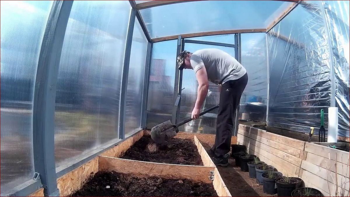 Jaka ziemia do pomidorów? Poznaj sekret pysznych i soczystych owoców!