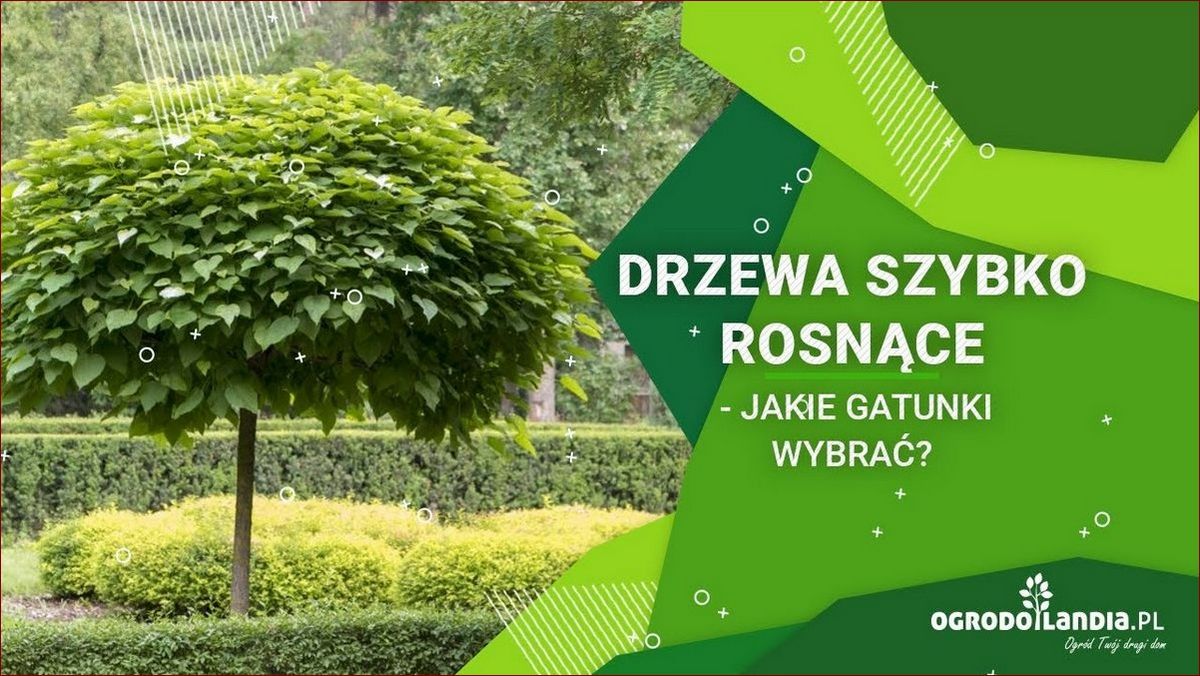 Jakie drzewa przed domem? Poznaj najlepsze gatunki i korzyści ich sadzenia