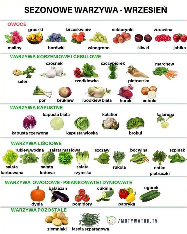 Jakie warzywa siać obok siebie? Odkryj sekrety ogrodniczej symbiozy!