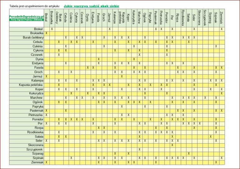 Jakie warzywa siać obok siebie? Tabela najlepszych i najgorszych połączeń