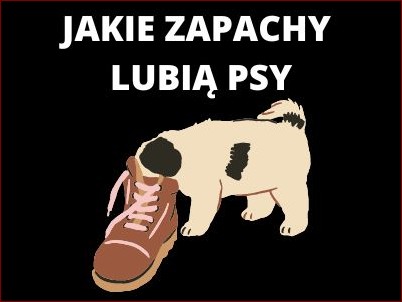 Jakie zapachy nie lubią gołębie? Odkryj 10 naturalnych i syntetycznych aromatów