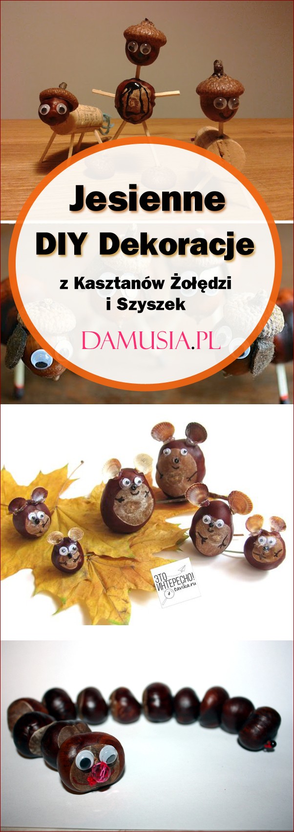 Jesienne dekoracje z kasztanów – niesamowite pomysły na rustykalne ozdoby