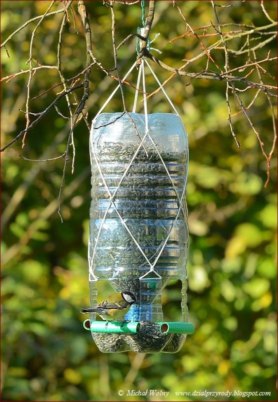 Karmnik z butelki - Prosty i ekologiczny sposób na przyciągnięcie ptaków do Twojego ogrodu