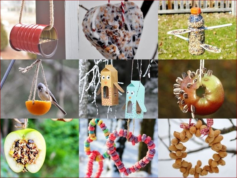 Karmnik z butelki - Prosty i ekologiczny sposób na przyciągnięcie ptaków do Twojego ogrodu