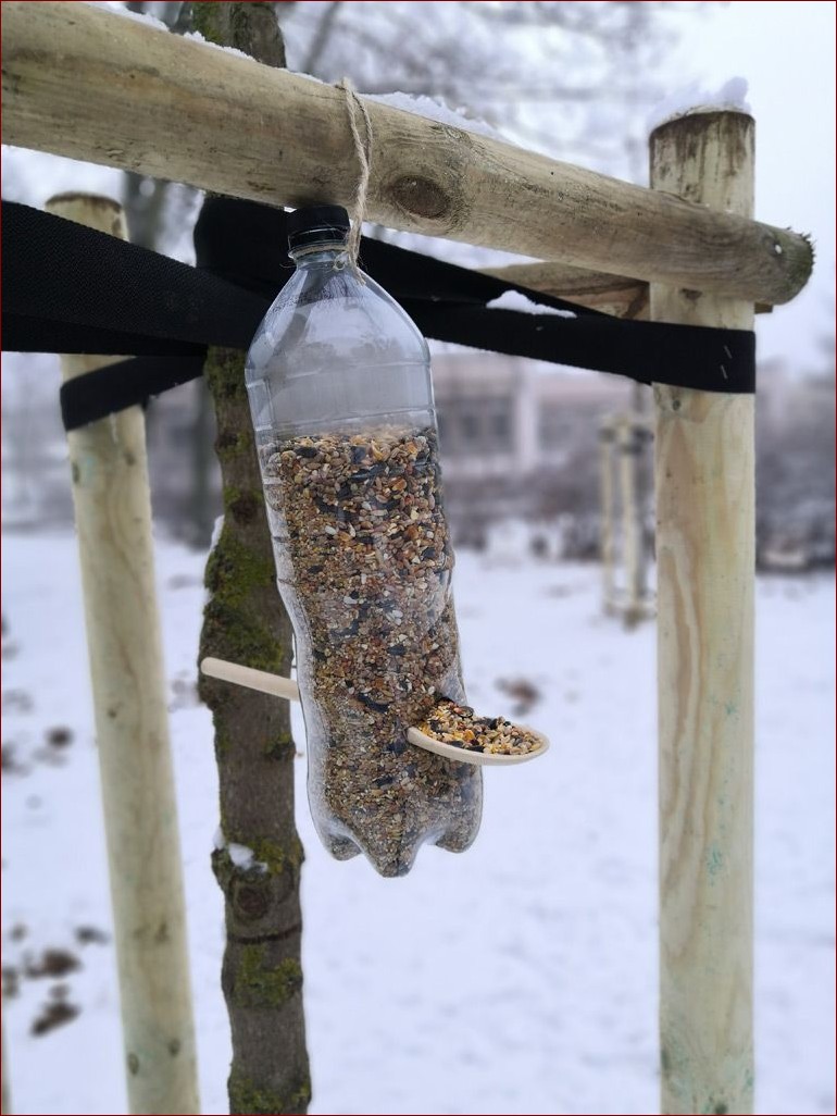 Karmnik z butelki - Prosty i ekologiczny sposób na przyciągnięcie ptaków do Twojego ogrodu