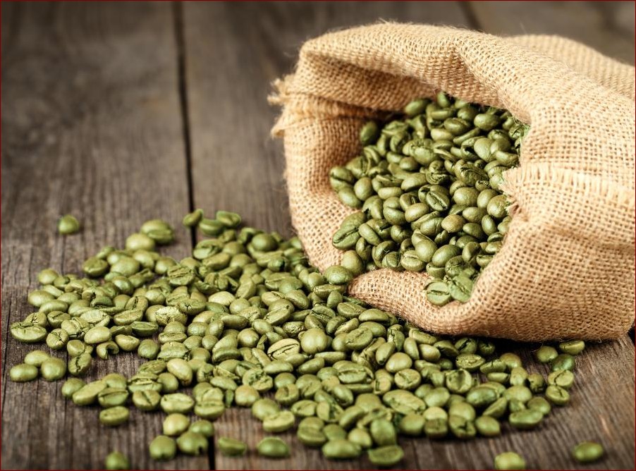 Kawa na ślimaki - naturalna broń przeciwko niechcianym gościom w ogrodzie