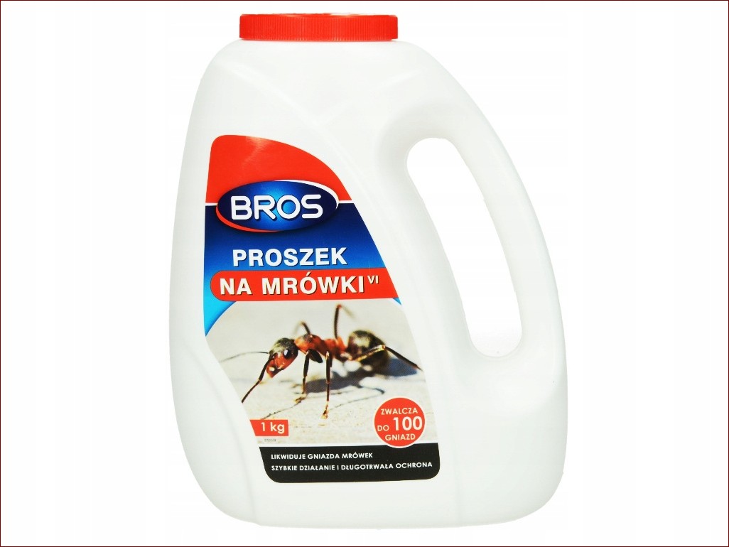 Kawa na mrówki w ogrodzie - Odkryj ten naturalny i skuteczny sposób na pozbycie się tych natrętnych szkodników