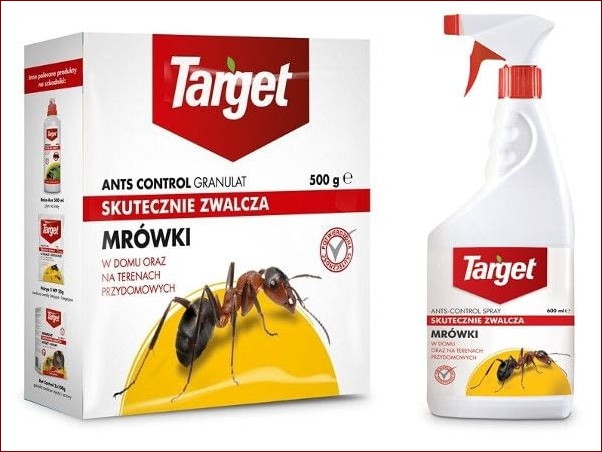 Kawa na mrówki w ogrodzie - Odkryj ten naturalny i skuteczny sposób na pozbycie się tych natrętnych szkodników