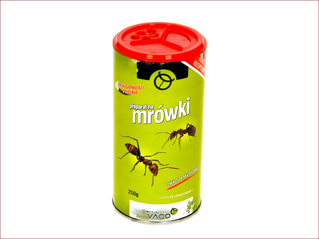 Kawa na mrówki w ogrodzie - Odkryj ten naturalny i skuteczny sposób na pozbycie się tych natrętnych szkodników