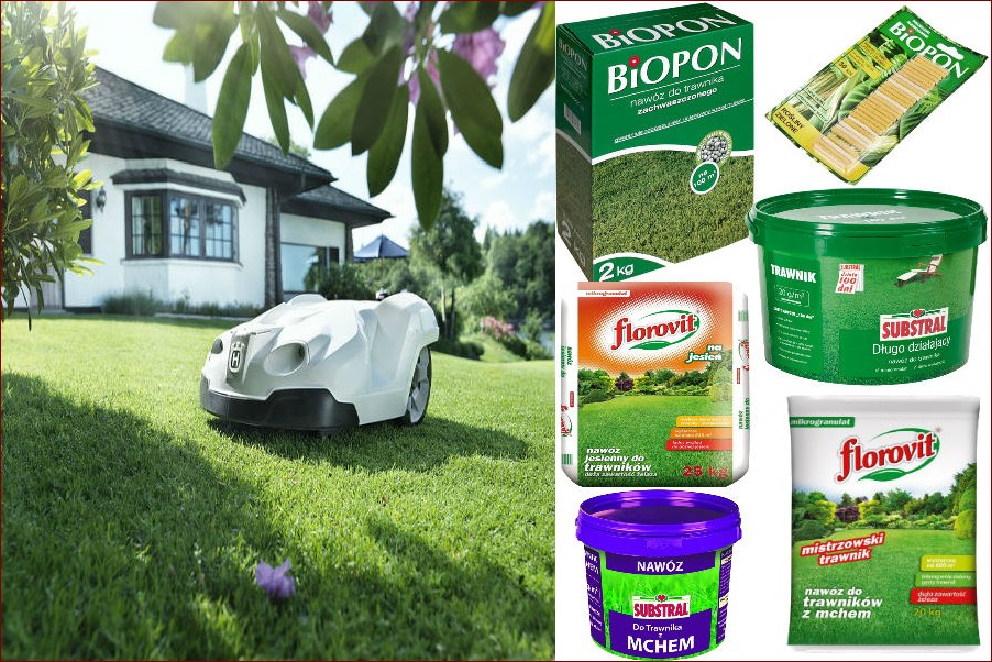 Kiedy Ciąć Trawę? Sekrety Mistrzów Idealnego Trawnika Odkryte!