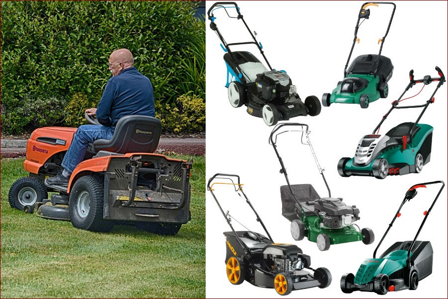 Kiedy Ciąć Trawę? Sekrety Mistrzów Idealnego Trawnika Odkryte!