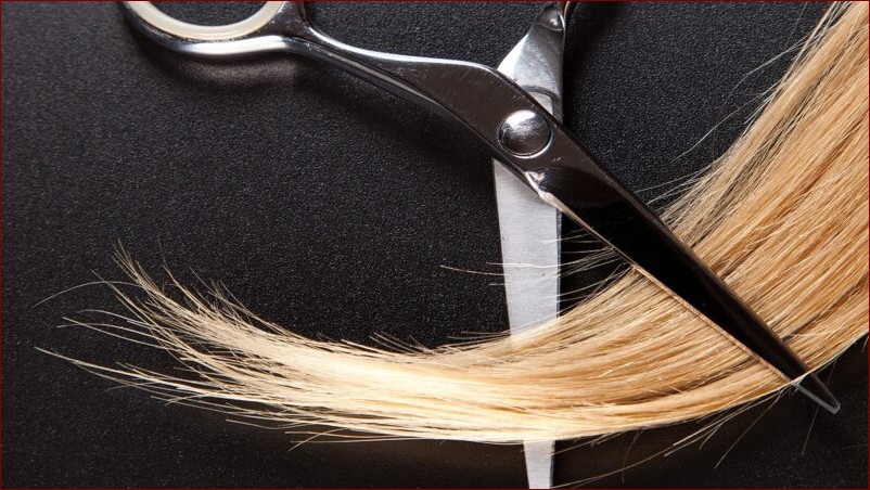 Kiedy podciąć maliny - Kompletny poradnik i terminy dla każdej odmiany