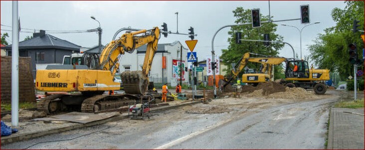 Kiedy przesadzać skrzydłokwiat? Poznaj 7 sygnałów, że nadszedł czas!