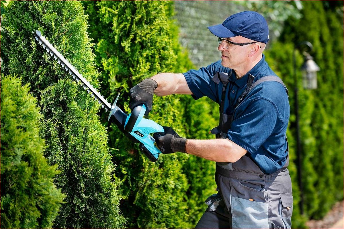 Kiedy przycinać katalpę - kluczowe wskazówki, by drzewa wyglądały świetnie
